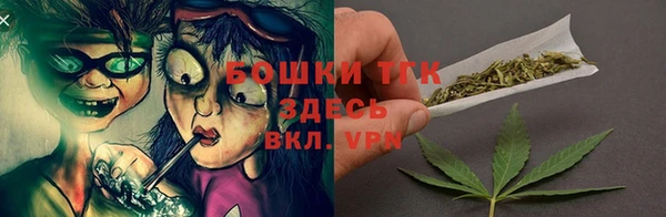 Альфа ПВП Каменка