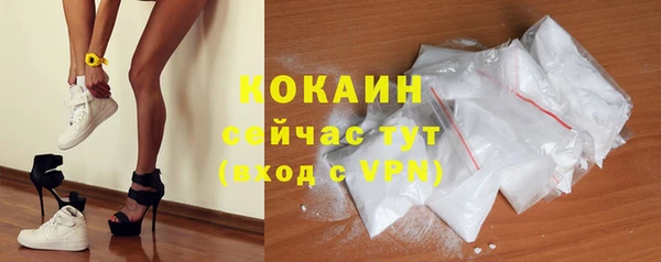 Альфа ПВП Каменка