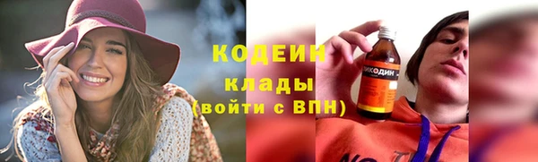 гашик Инта