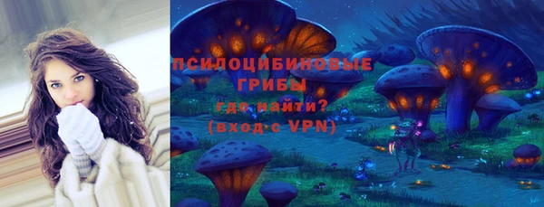Альфа ПВП Каменка