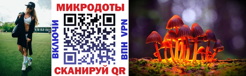 Купить закладки  Кингисепп  Галлюциногенные грибы мицелий 