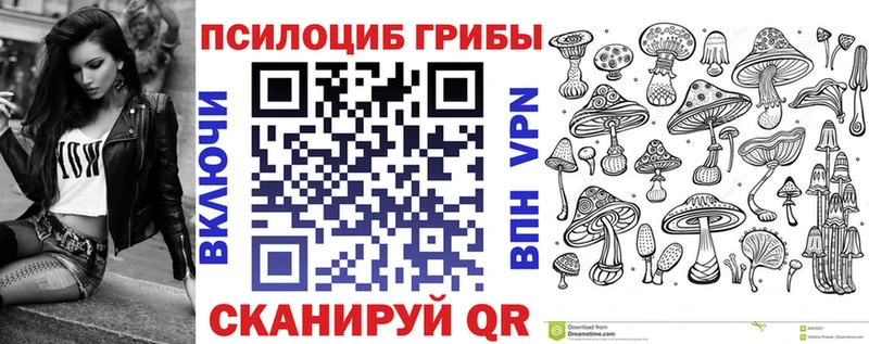 Галлюциногенные грибы Psilocybe Кингисепп